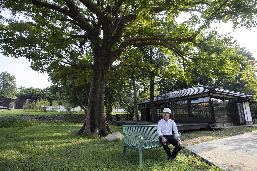 林智堅市長與新竹公園內百年老茄苳