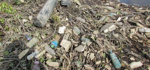 03-紅樹林內隱藏了大量垃圾影響環境衛生-1500