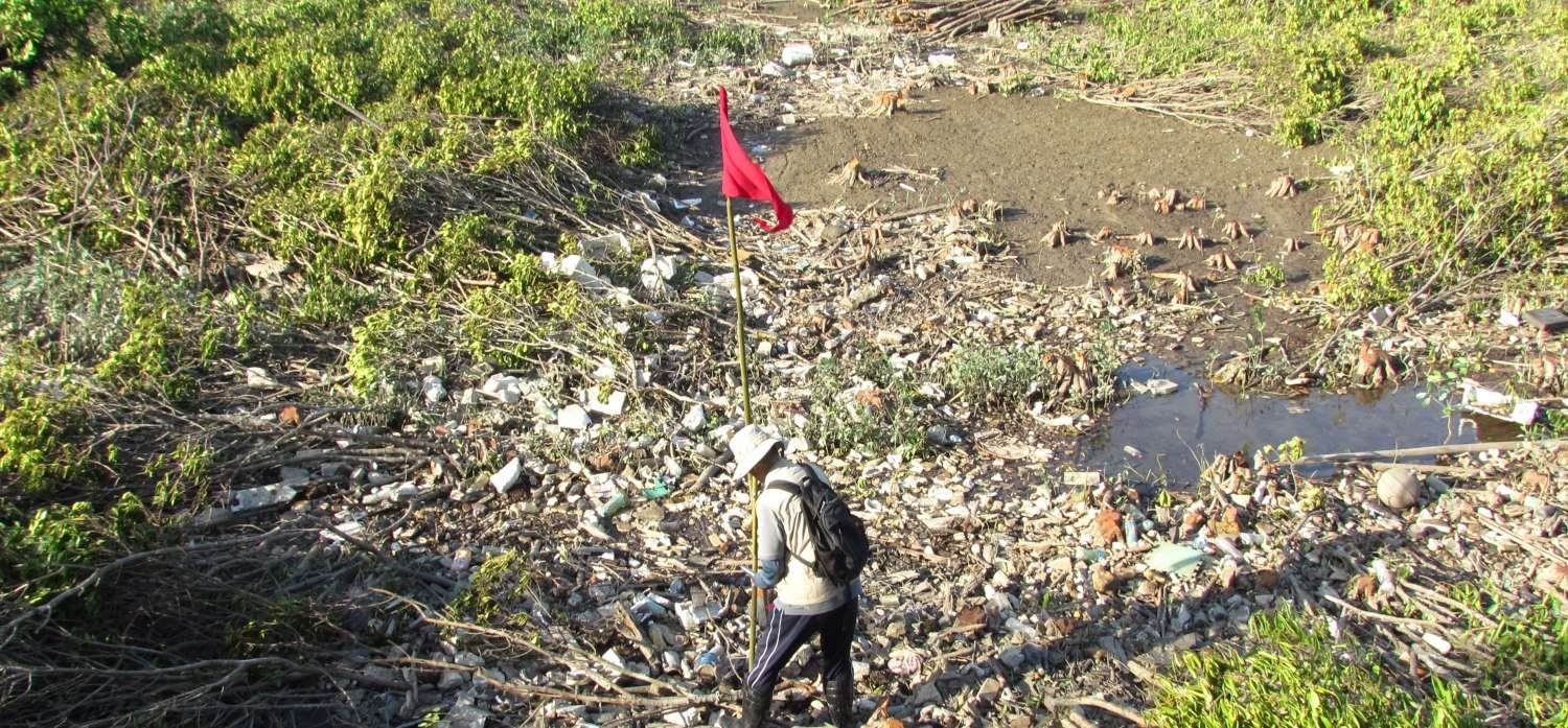 04-紅樹林內隱藏了大量垃圾影響環境衛生-1500